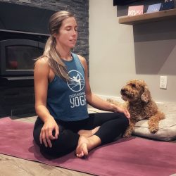 Yoga at Home: How to Get the Most out of Your Practice